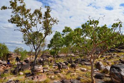 Hiking to the Mitchell Falls.