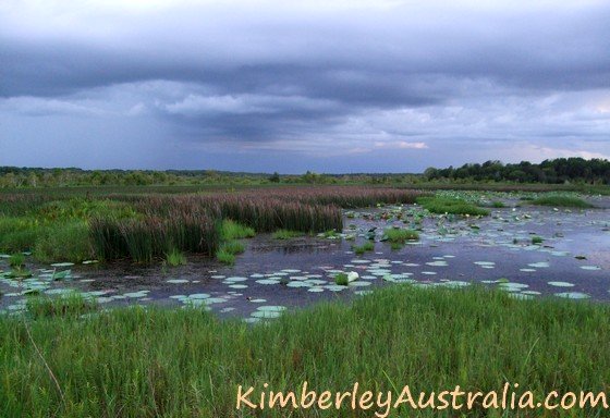 Kimberley Wet Season