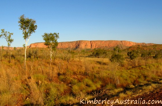 East Kimberley