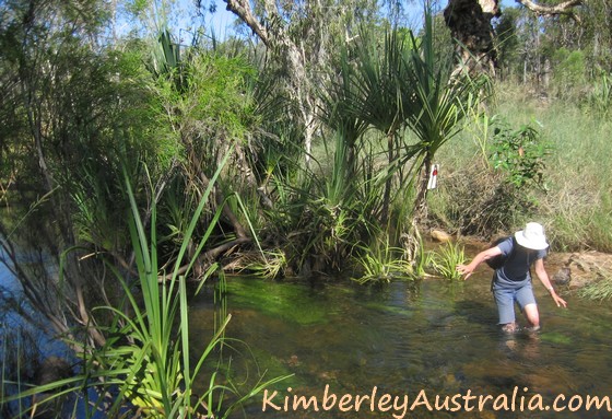 Crossing the Manning River