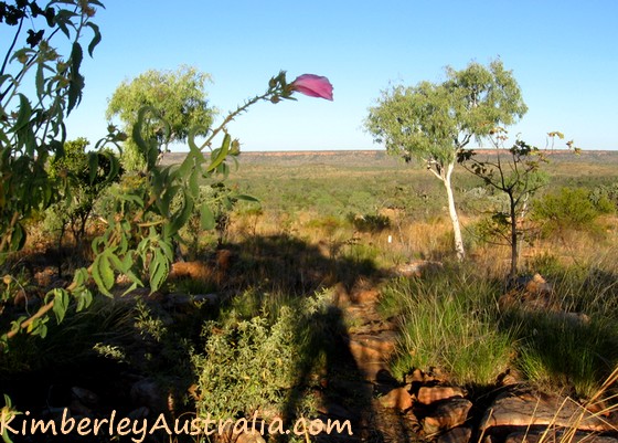 Hike to Manning Gorge