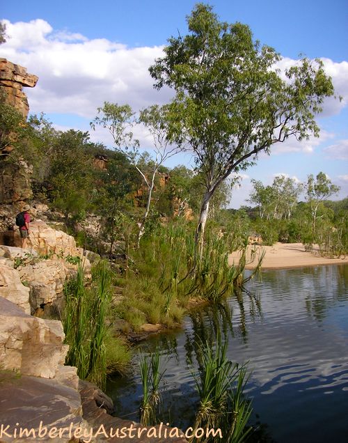 The pretty beach of Wunnumurra Gorge