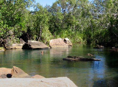 Having a swim on the way to the Mitchell Falls