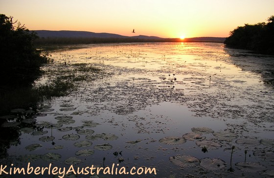 Sunset at Marlgu Billabong